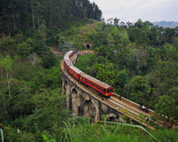 Demodara railway landscape