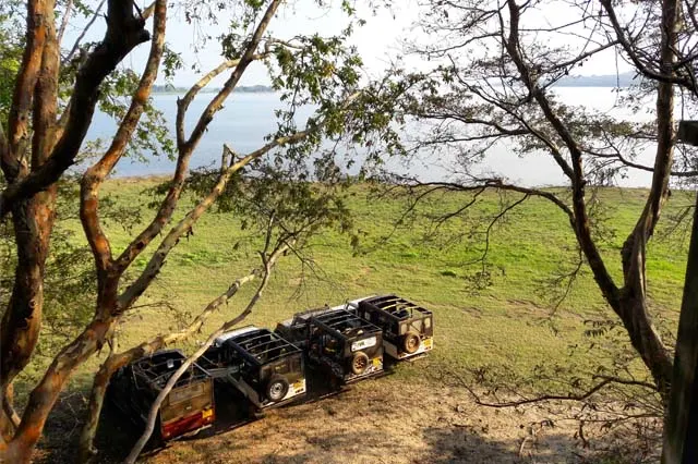 Safari jeeps near elephants in Sri Lanka